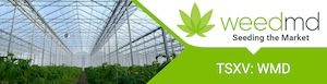 WeedMD Exports Cannabis Genetics to Australia’s Medifarm