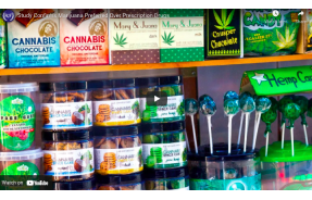Study Confirms Marijuana Preferred Over Prescription Drugs