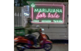 Vice Report: Months After Legalization, Thailand’s Weed Scene Is a ‘Wild Wild West’