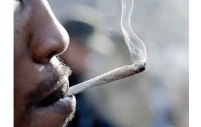Medical News Today : Study - Cannabis smokers more likely to develop emphysema than cigarette smokers