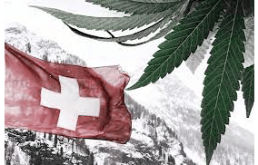 Medical Cannabis In Switzerland