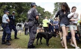 Australia: Music festival: Drug detection dogs don't deter users, survey